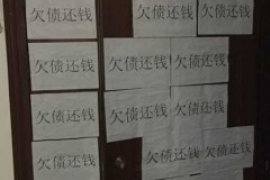 河北贷款清欠服务